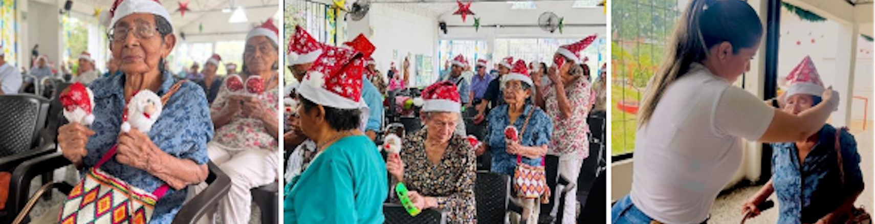 Corporacion jardin de los abuelos